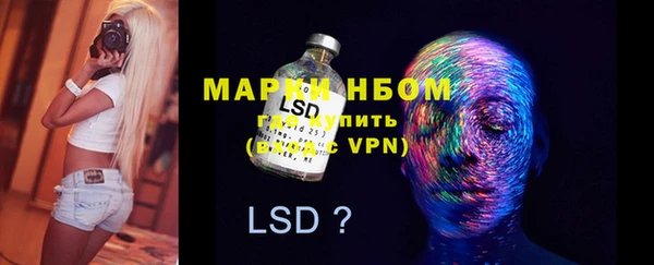 стаф Баксан