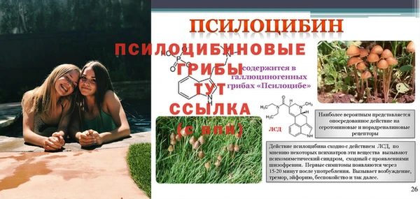 синтетический гашиш Армянск