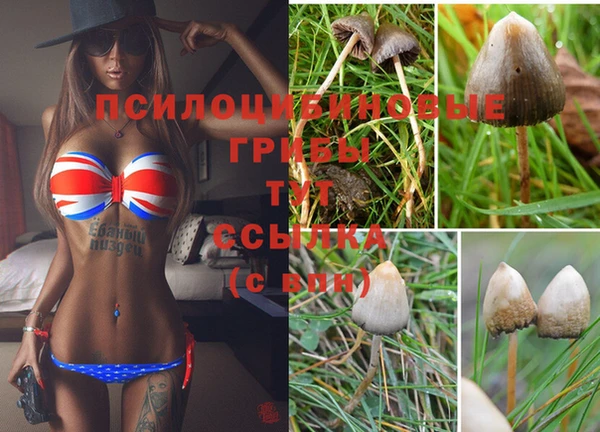 гашиш Балахна