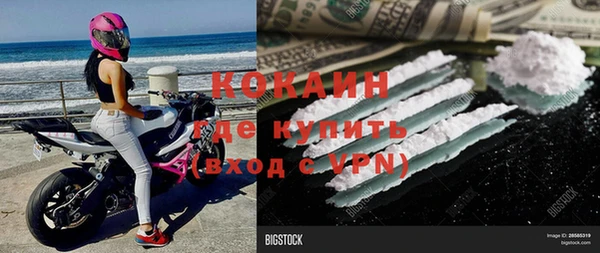стаф Баксан