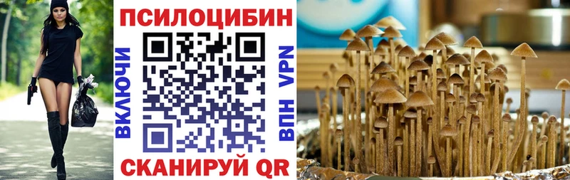 купить   Орлов  Галлюциногенные грибы прущие грибы 